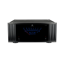 Tone Winner AD-2500Pro Custom 2.0 1000W Mono Powerful Amplifier